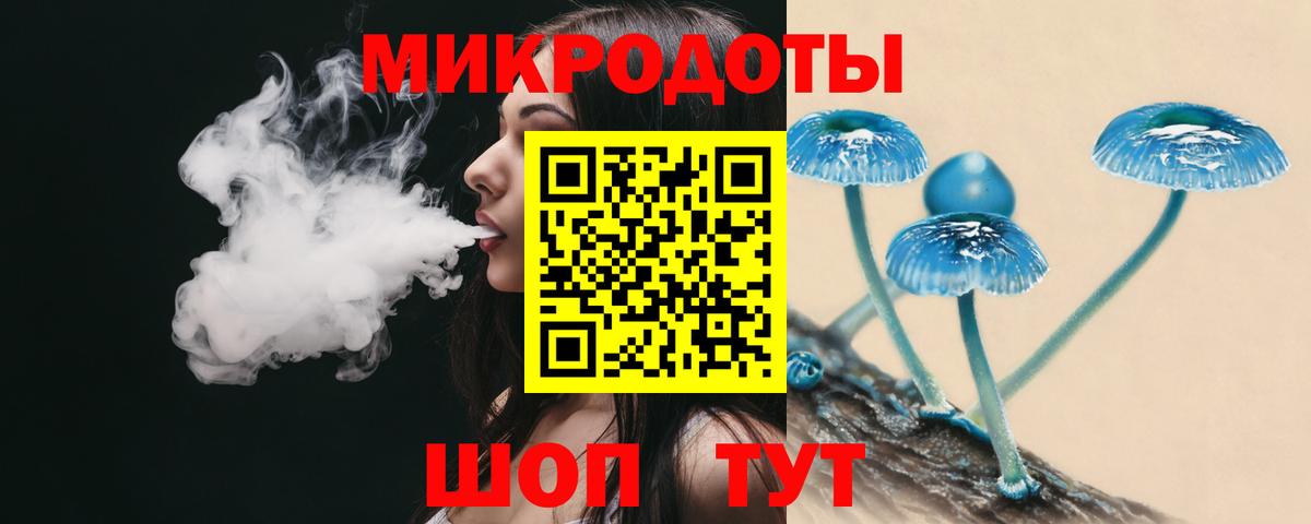 Псилоцибиновые грибы Psilocybine cubensis Советский